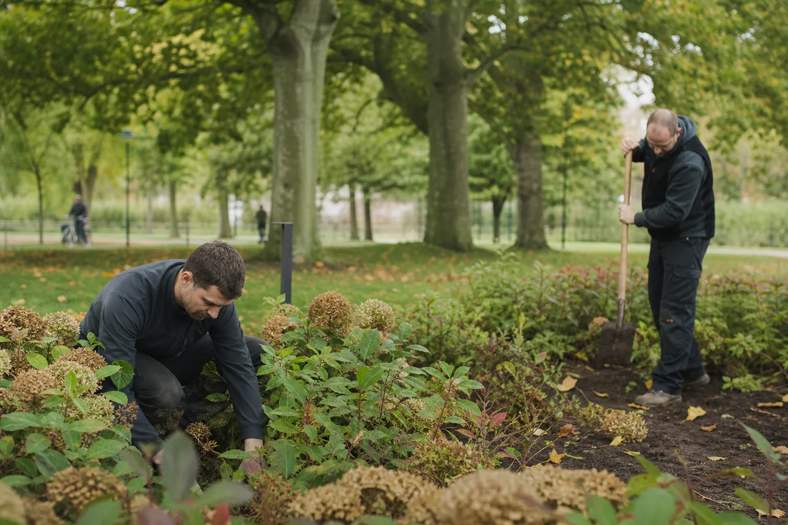Groenwerk in de Nederlandse buitenruimte. Beeld bij het artikel: Welke afspraken moeten er in een onderhoudscontract staan voordat je het jaar ingaat?
