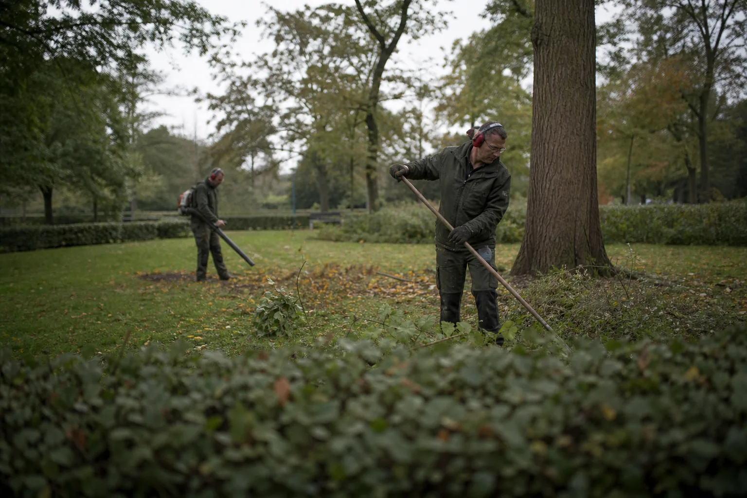 Groenwerk in de Nederlandse buitenruimte. Beeld bij het artikel: Wanneer kies je een vast onderhoudscontract en wanneer werk je liever op nacalculatie?